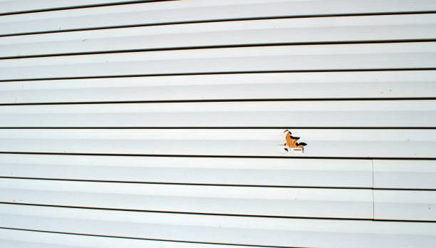 Best Insulated Siding Installation  in Harrington Park, NJ