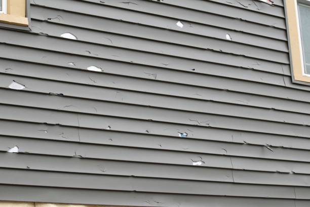 Best Custom Siding Design  in Harrington Park, NJ