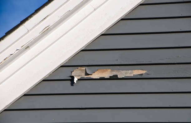 Best Custom Trim and Detailing for Siding  in Harrington Park, NJ