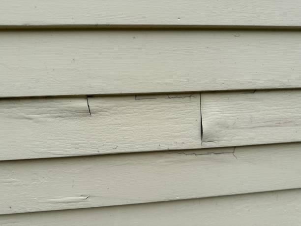 Best Siding for New Construction  in Harrington Park, NJ